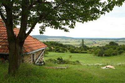 Balaton-felvidk