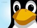 Linux vagy Joomla szakemberkpzsek! Gyakorlattal