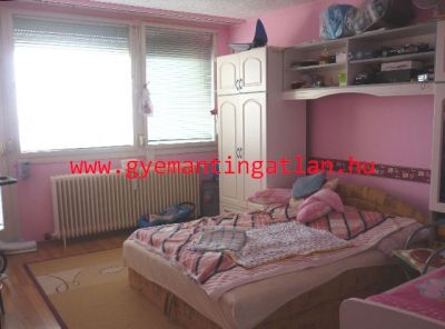 Szekszrd aliscai rszn 57 nm-es erklyes laks elad