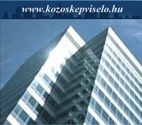 Kzs Kpviselő