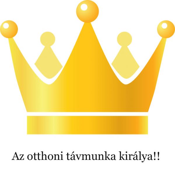 Az otthoni tvmunkk kirlya!